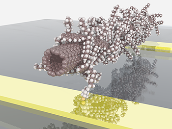 Polymer wrapped single-walled nanotube