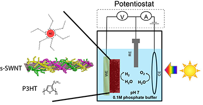 PEC Water splitting