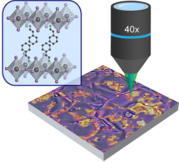 Photoluminescence mapping of heterogeneity in a typical layered perovskite