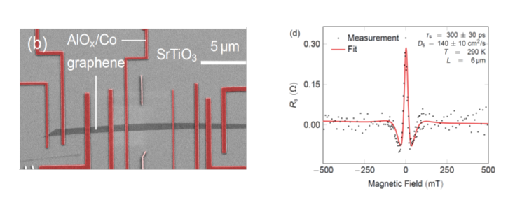 Spin lifetime in graphene on SrTiO3 at room temperature