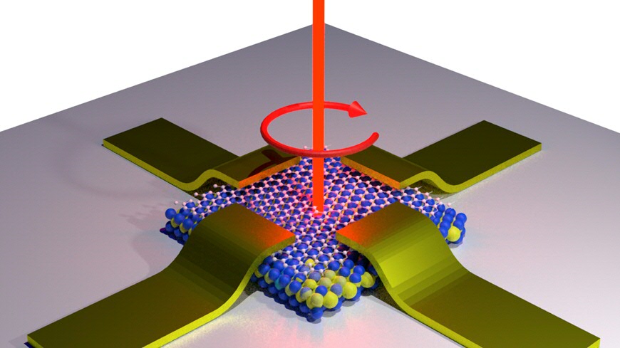 Optospintronics in atomically thin van der Waals heterostructures