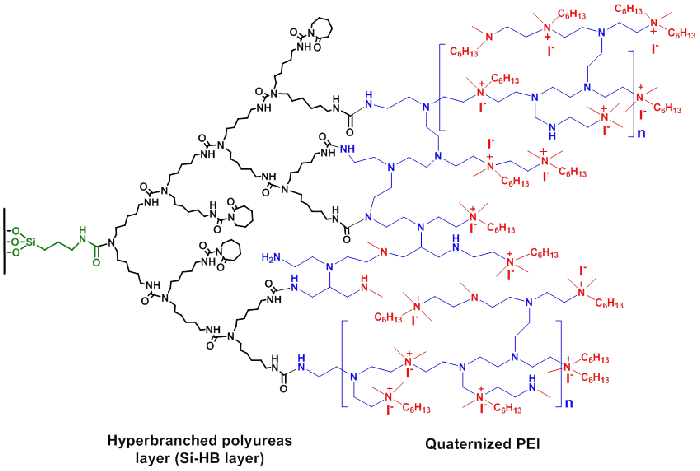 Figure 2: Immobilized antibacterial coating based on quaternary ammonium compouds.