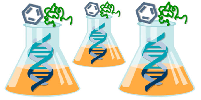 On the Interface of Biology & Polymer Chemistry