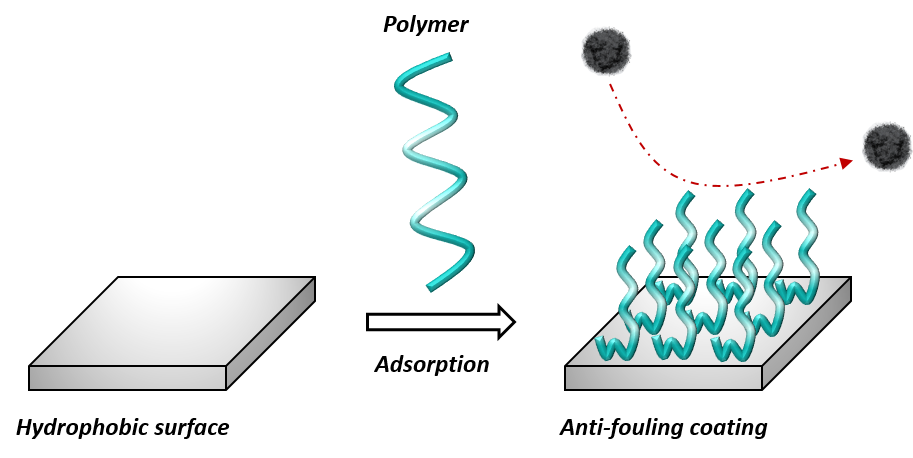 Schematic representation of an anti-fouling polymer coating