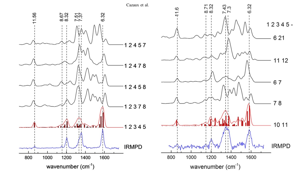Infrared multiphoton dissociation to identify H attachment sites