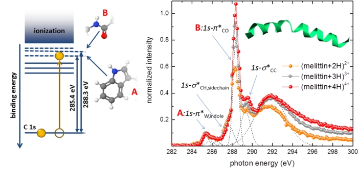 Soft X-ray spectrum for gas-phase melittin