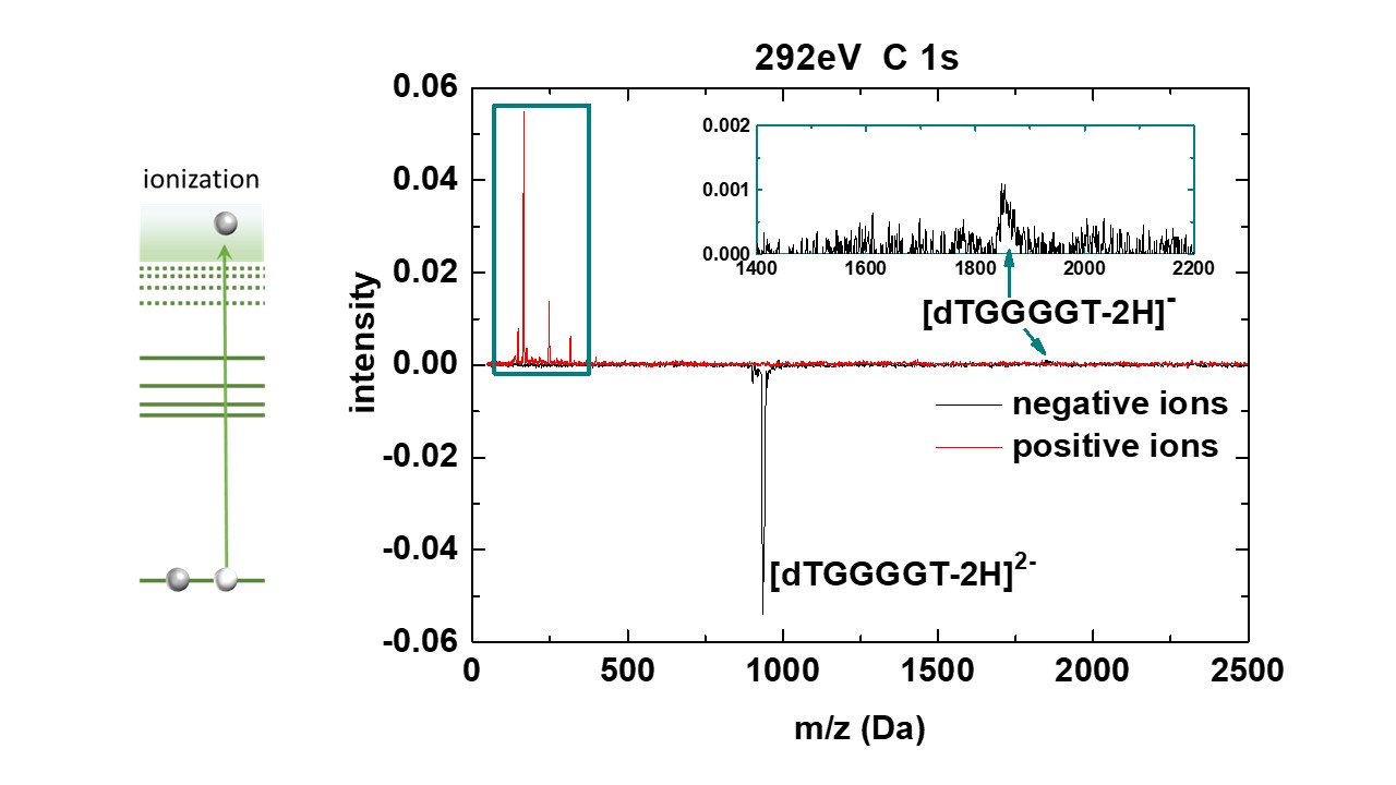 Charge reversal in soft X-ray absorbtion in DNA anions