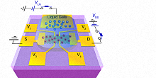 Device Physics of Complex Materials