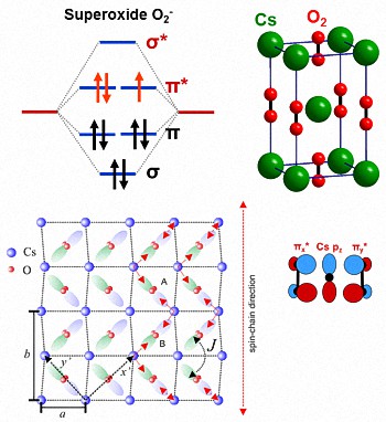 Top left: molecular orbital diagram for superoxide O2-. Top right: room temperature crystal structure of CsO2. Bottom left: Ordering of half-occupied πx* and πy* orbitals below 70 K. An antiferromagnetic spin chain is formed (shown by red arrows) due to superexchange via Cs pz orbitals (bottom right).