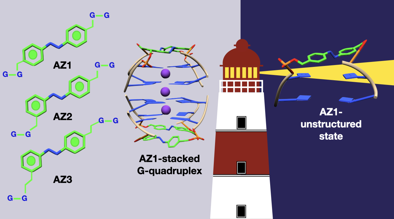 Photo-switchable DNA G-quadruplex