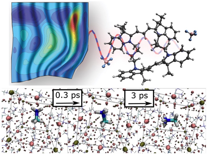 Top: The two-dimensional spectrum of a model dimer system exhibiting electronic and vibronic coherences. Bottom: Illustration of the fast rotation of the methyl ammonium ions in a hybrid perovskite material.