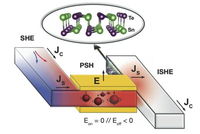 Theoretical design of spin transistor employing the combination of spin Hall effect and switchable persistent spin helix in 2D ferroelectric SnTe.