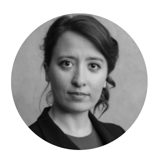 dr. Lisa Gaufman Faculteit: Faculteit der Letteren Expertise: Political Science; International Relations; Communication Studies Fellow: D&G