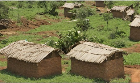 decoratieve afbeelding