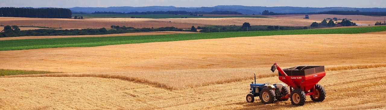 decoratieve afbeelding