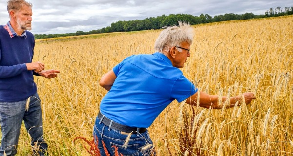 Sustainable Landscapes and Regions