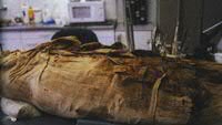 mummie
