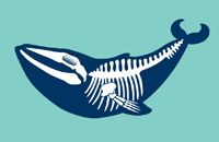 Doortje de walvis