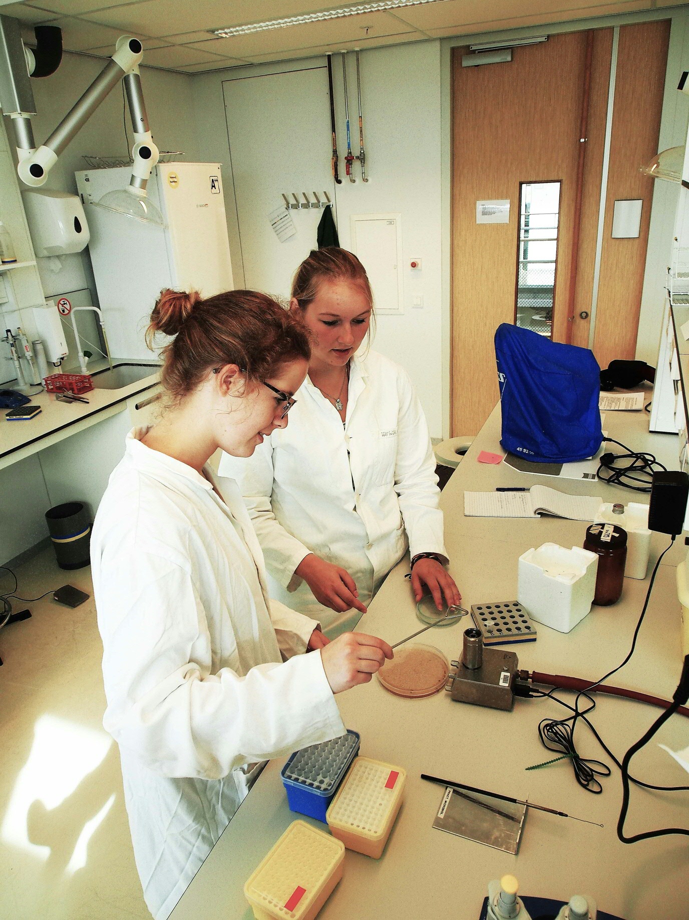 Scholieren doen een microbiologie practicum op de RUG