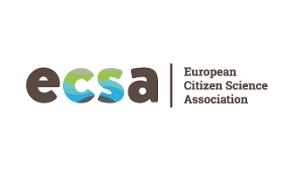 ecsa