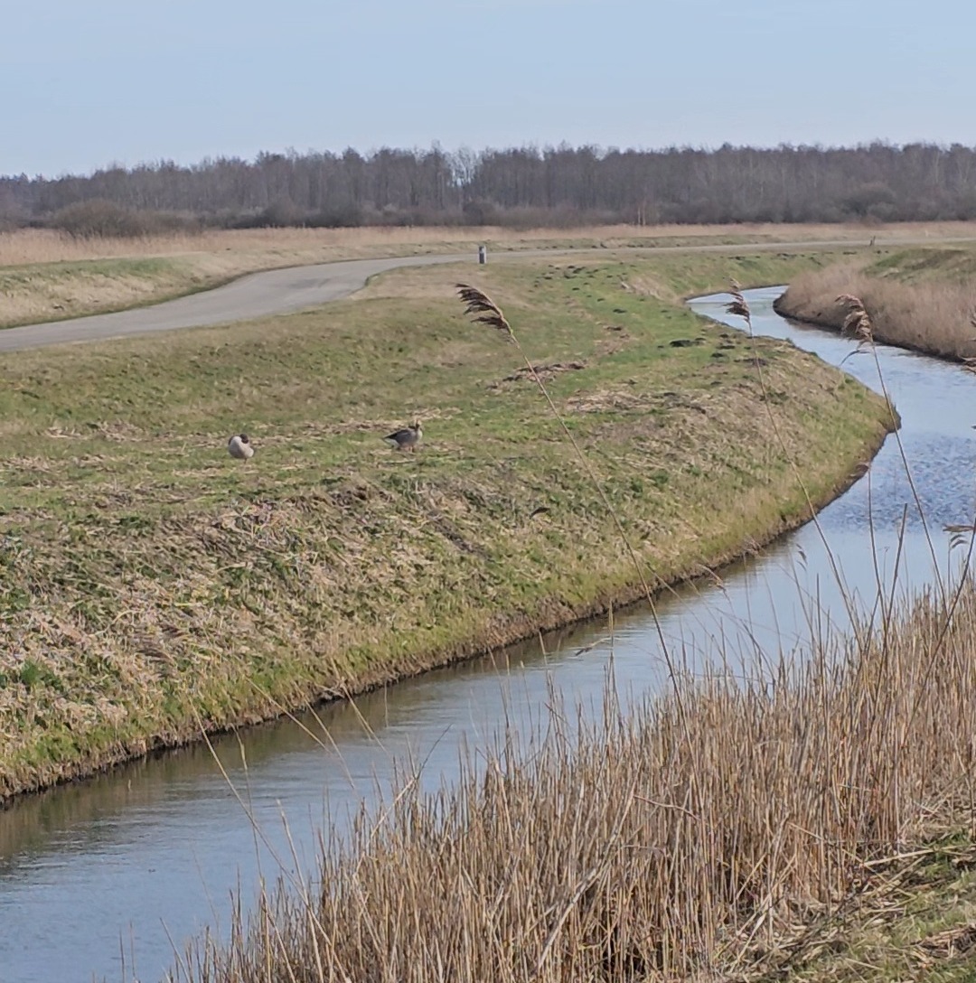 deel 1