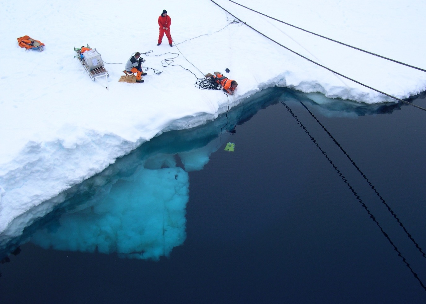 decoratieve afbeelding