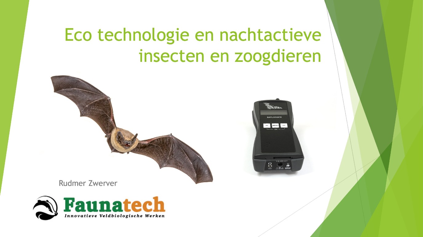 Een batdetector maakt het sonargeluid van vleermuizen hoorbaar voor mensen | Beeld Rudmer Zwerver Faunatech