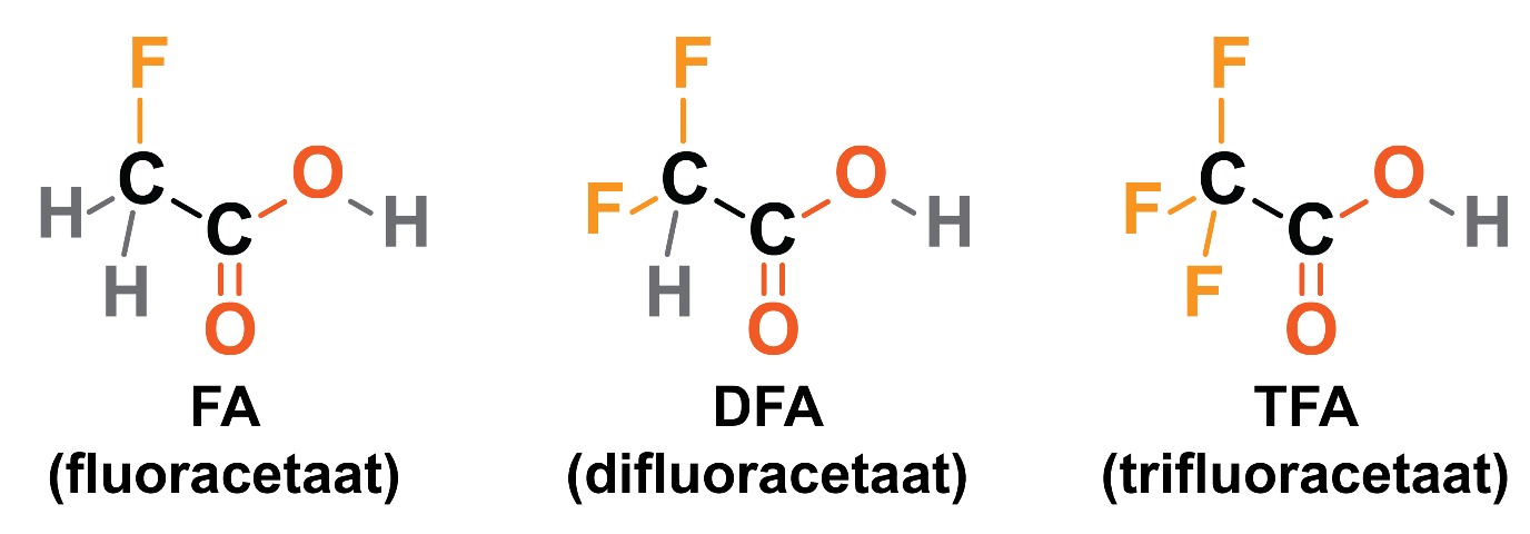 decoratieve afbeelding