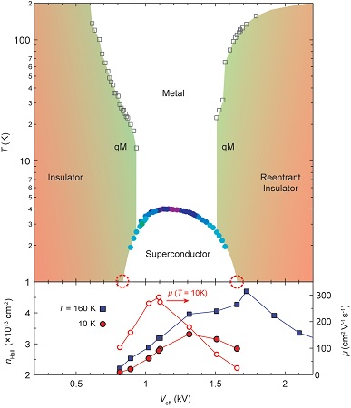 Superconducting critical temperatures TC are plotted to the left axis (solid circle) as a function of the effective back gate. Quasi-metal (qM) regime is bounded by metal-insulator crossover temperature (empty square). The initiation and suppression of the superconducting dome are indicated by dashed circles. | Illustration: PNAS/University of Groningen