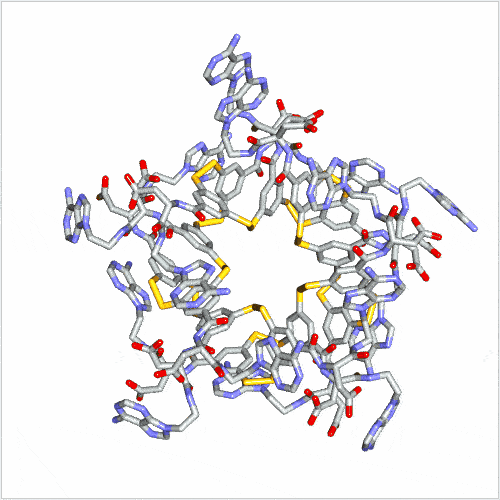The 3D structure of the folded molecule | Illustration Bin Liu