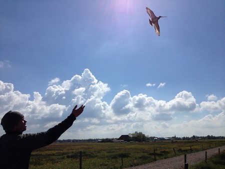 Mo Verhoeven releasing a godwit | Photo Bingrun Zhu