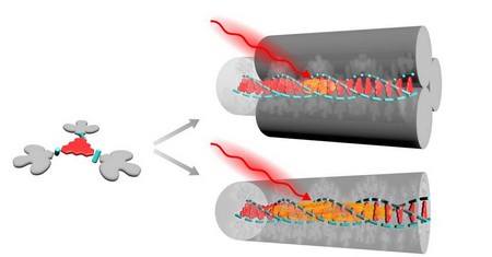 On the left, the molecular building block for the fibres, comprising a carbonylbridged triarylamine core (red), three amide moieties (blue) and chiral bulky peripheries (grey). Selfassembly in ndodecane results in single supramolecular nanofibres, Which can be assembled in bundles of supramolecular nanofibres. | Illustration R. Hildner