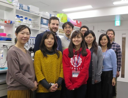 First author Dusan Kolarski (back row, left) with the team from the Institute of Transformative Bio-Molecules at Nagoya University, Japan, including co-authors Tsuyoshi Hirota (back row, middle), Akiko Sugiyama (front, second from left) and Yoshiko Nagai (front, fourth from left). | Photo Institute of Transformative Bio-Molecules, Nagoya University