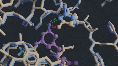 Inhibitor CHX (purple structure) in the ribosome E-site, with the original structure in blue and the structure with the proline to glutamine mutation in beige. The mutation reduces the size of the binding space, causing a clash of the inhibitor with the ribosome that prevents it from binding. | Illustration: J. Whittaker