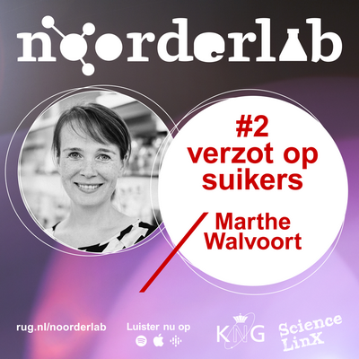 Noorderlab podcast