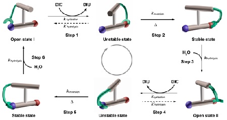 The new motor molecuul makes one turn in six steps | Illustration Nature / University of Groningen