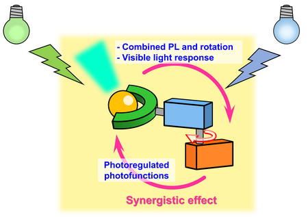 Two photofunctions, Photoluminescence (PL) and unidirectional rotation, are combined by hybridizing a PL dye and a molecular motor. The molecular design provides photoregulation of these functions as well as additional synergistic effects. | Illustration Ryojun Toyoda
