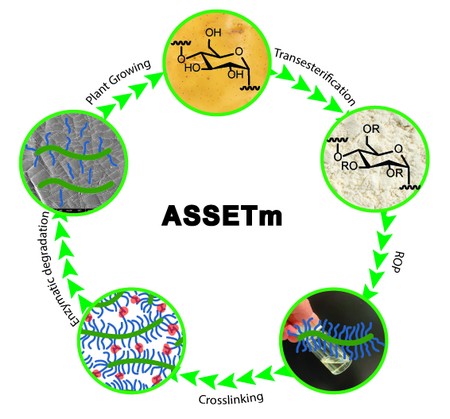 Production of ASSET | Illustration Xiaohong Lan, University of Groningen