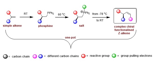 One-pot synthesis of functionalised Z-alkenes | Illustration Harutyunyan Lab