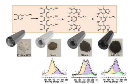 Top to bottom: The molecular structure of intermediates in polydopamine-formation, the clay-mineral nanotubes change colour during the polymerisation process due to the absorbed intermediates, graphs showing different chemical bonds present in the intermediates during polymerisation. | Illustration Hamoon Hemmatpour, University of Groningen