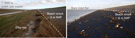 Run-up of waves on dikes in areas with or without salt marshes. | Photo B. Marin-Diaz, University of Groningen