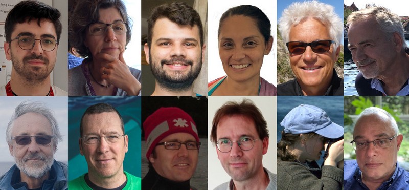 The research team behind the work for which the field work began in 1989. Upper panel from the left to right: Marcos Suárez-Menéndez (UG), Martine Bérubé (UG & CCS), Fabrício Furni (UG), Vania E. Rivera-León (UG & CCS), Mads-Peter Heide-Jørgensen (GINR), Finn Larsen (AQUA). Lower panel from left to right: Richard Sears (MICS), Christian Ramp (MICS & SOI), Britas Klemens Eriksson (UG), Rampal S. Etienne (UG), Jooke Robbins (CCS & UG) and Per J. Palsbøll (UG & CCS). | Affiliations: University of Groningen (UG), Center for Coastal Studies (CCS), Greenland Institute of Natural Resources (GINR), Institute of Aquatic Resources (AQUA), Mingan Island Cetacean Study Inc. (MICS), Scottish Oceans Institute (SOI)