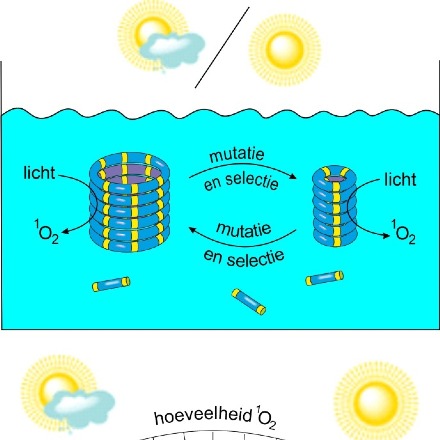 Evolving chemical system changes its environment