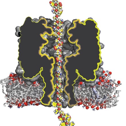 The missing link to make easy protein sequencing possible?