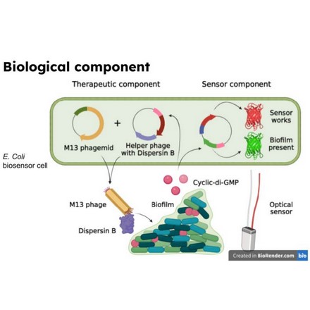 Saying bye to biofilm