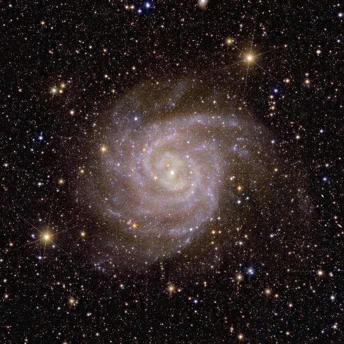 Spiral galaxy IC 342 
