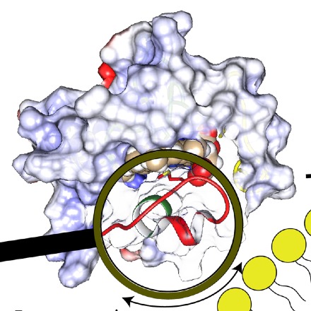 Materials scientist finds clue to treat deadly hereditary illness