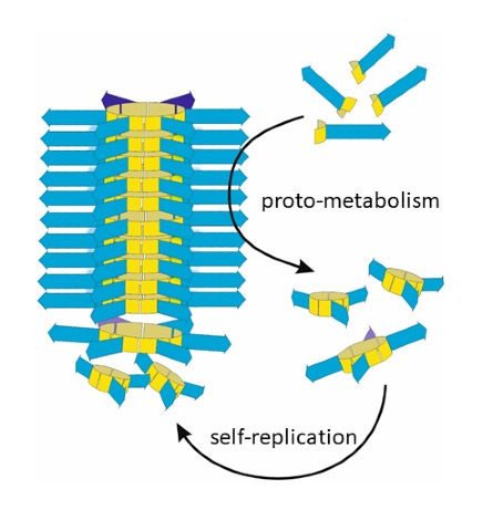 Metabolismo: os replicadores produzem os blocos de construção de que precisam para se replicar.