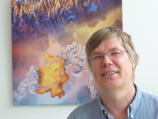 prof. Arnold Driessen