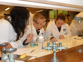 Participants in the lab